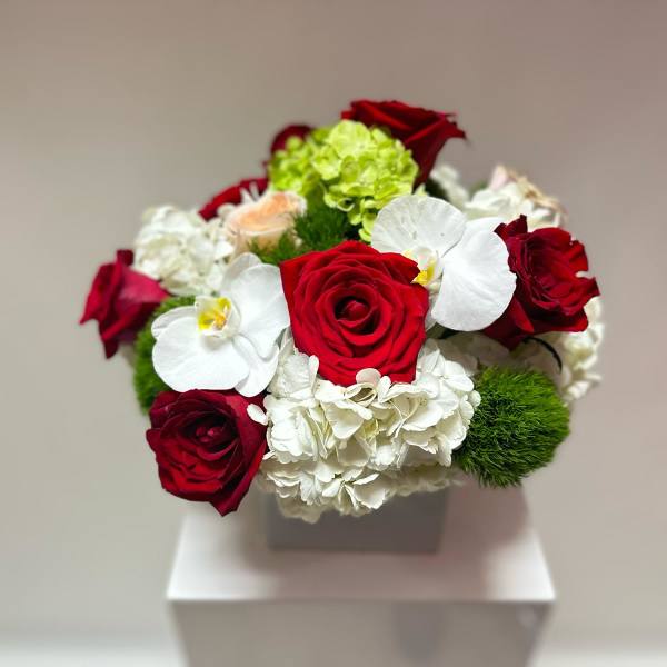 Bouquet of red roses, white orchids, and white hydrangeas in a square vase