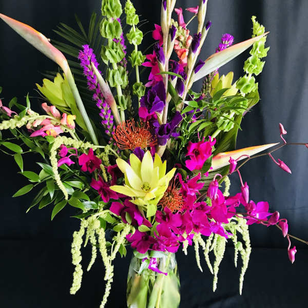 Vivid Bird of Paradise Orchid Exotics