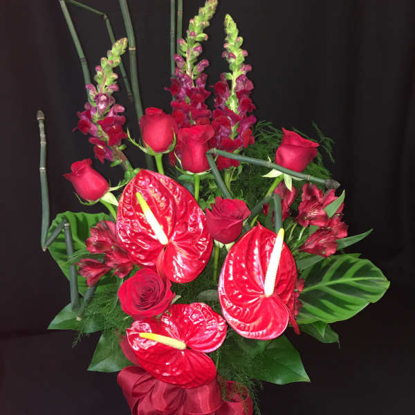 Anthurium Rose Seduction 2