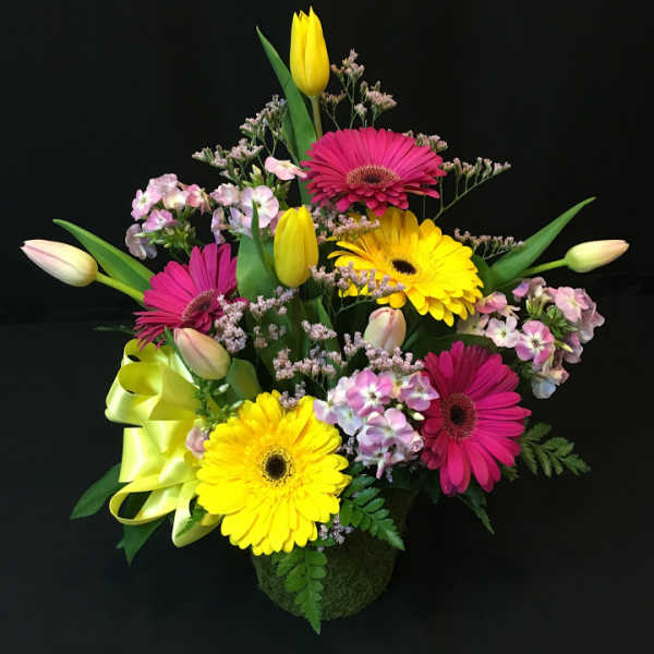 Bright mixed bouquet with gerbera daisies and tulips in a moss-covered container