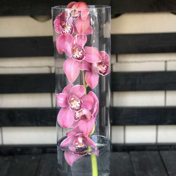 Pink orchids in a tall clear glass vase with stones