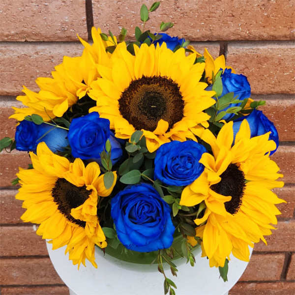 Bouquet of yellow sunflowers and blue roses in a white container