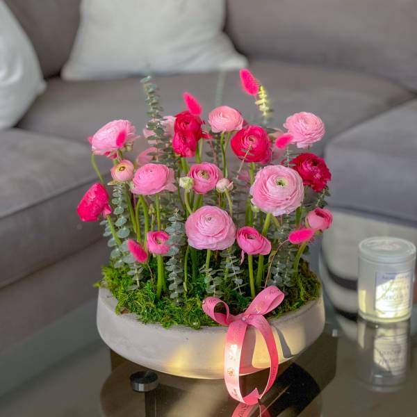 Pink ranunculus arrangement in a round white container with a ribbon
