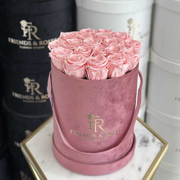 Pink roses arranged in a round velvet hat box with ribbon
