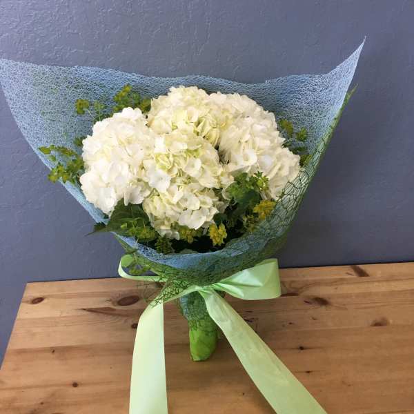 Bouquet of white hydrangeas wrapped in blue mesh with a green ribbon