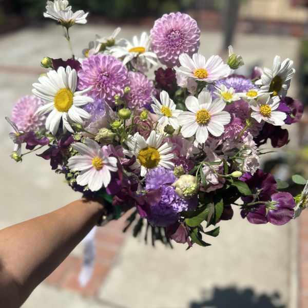 Handheld bouquet of white daisies and pink-purple blooms