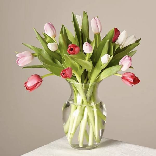 Bouquet of pink, red, and white tulips in a clear glass vase