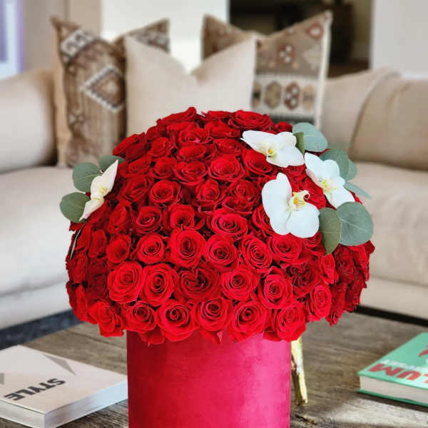 Red rose arrangement in a pink cylindrical box with white orchids