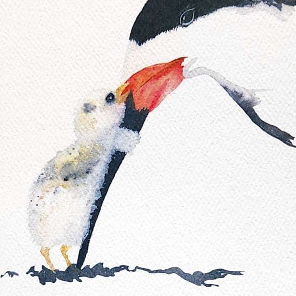 Watercolor painting of a penguin on white paper