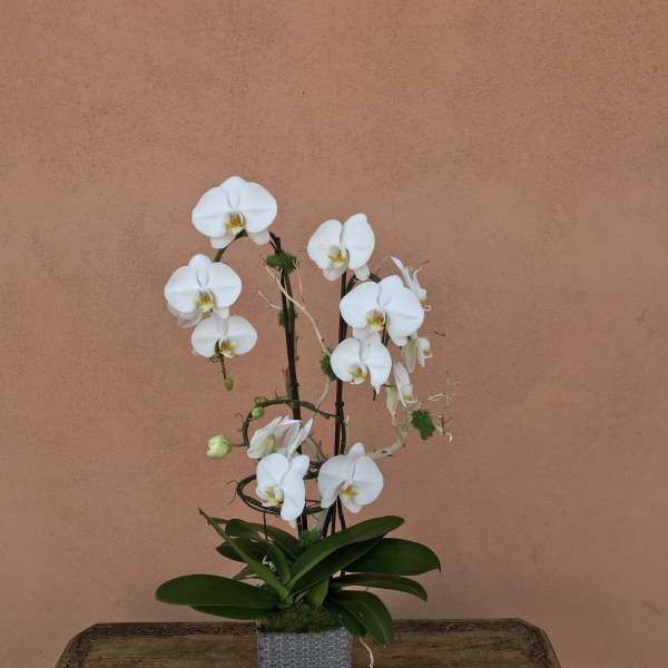 White orchid arrangement in a square glass vase with a small candle beside it