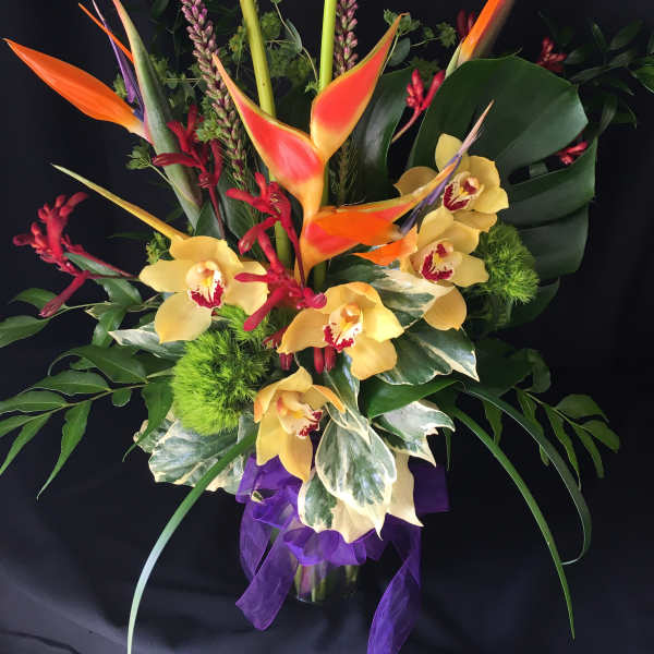 Exotic Tropical Tall Mix