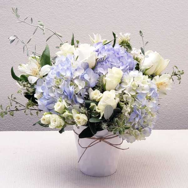 White and pale blue flowers arranged in a white vase.