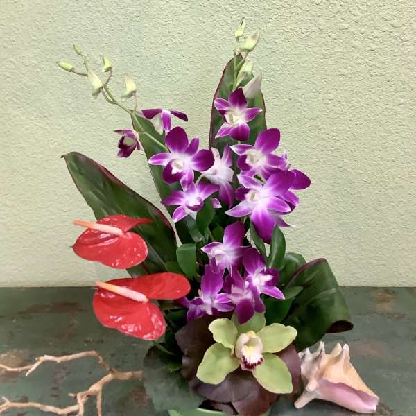Tropical orchid arrangement in a green container with red anthuriums