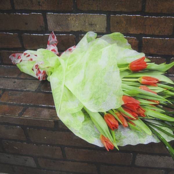 Bouquet of orange tulips wrapped in pale green paper