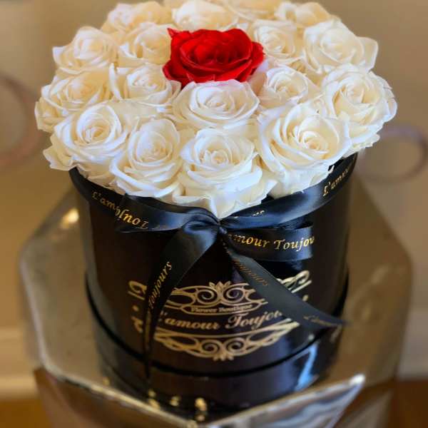 White roses with one red rose in a black round box