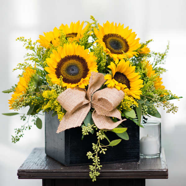 Sunflower arrangement in a black box with a burlap bow