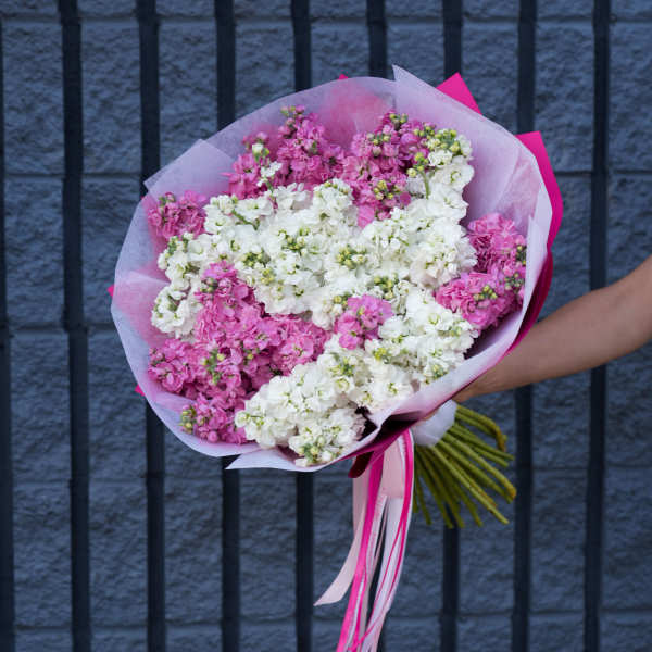 Pink and white flower bouquet wrapped in tissue paper with ribbon tails
