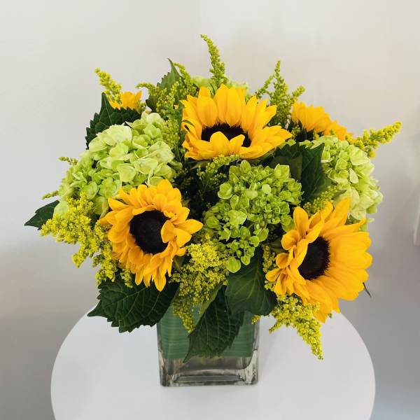 Sunflowers and green hydrangeas in a clear glass vase