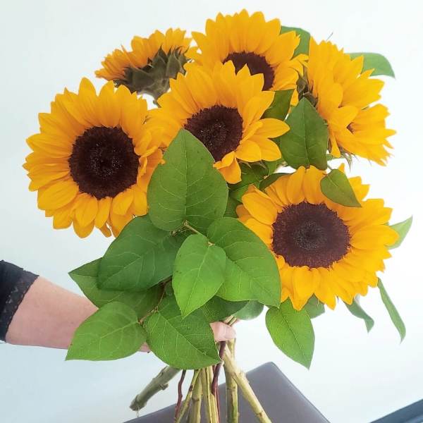 Bouquet of yellow sunflowers with green leaves