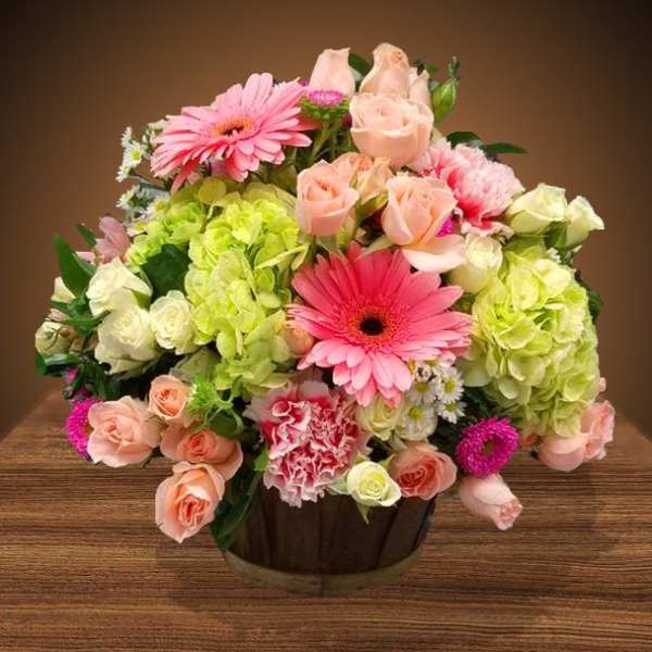 Low basket arrangement of pink gerbera daisies, roses, carnations, and green hydrangeas.