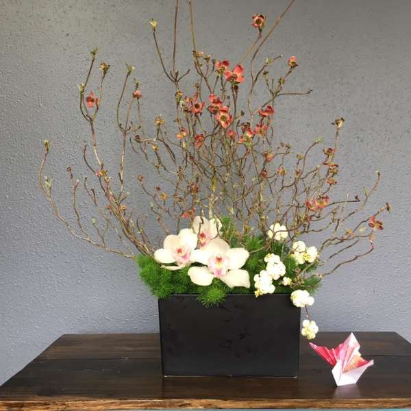 Orchid arrangement in a black rectangular container with branching stems