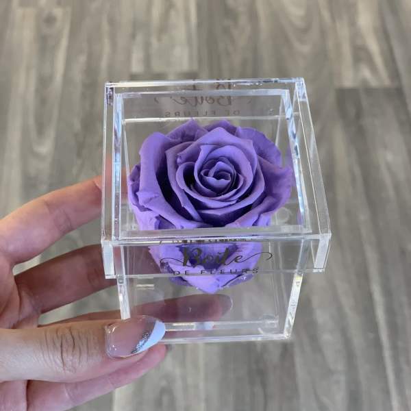 Single purple rose in a clear acrylic box