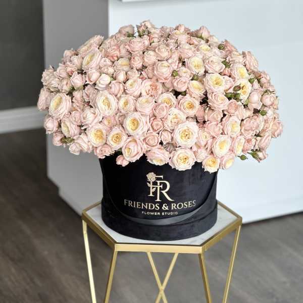 Large box of pale pink roses with cream centers