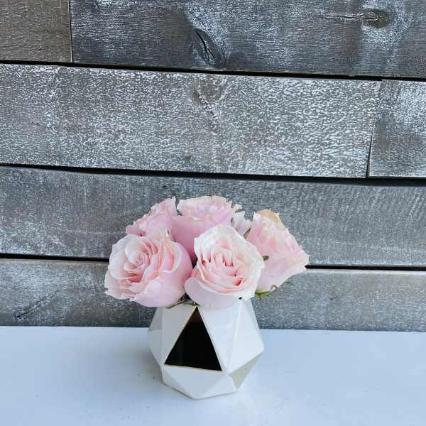 Pink roses in a small geometric white vase