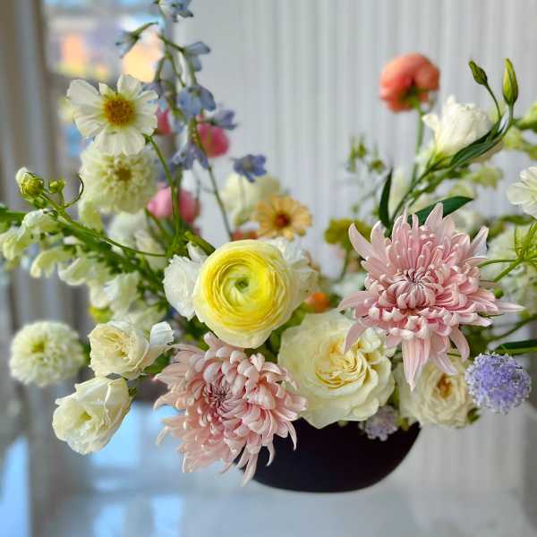 Pastel Pop