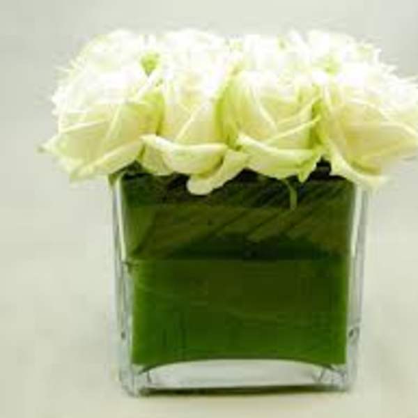 White roses in a square glass vase with green water
