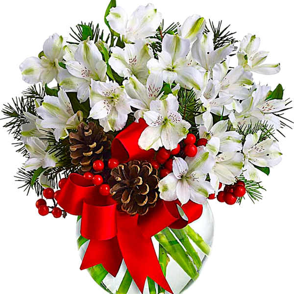 White alstroemeria bouquet in a glass vase with red ribbon and pinecones