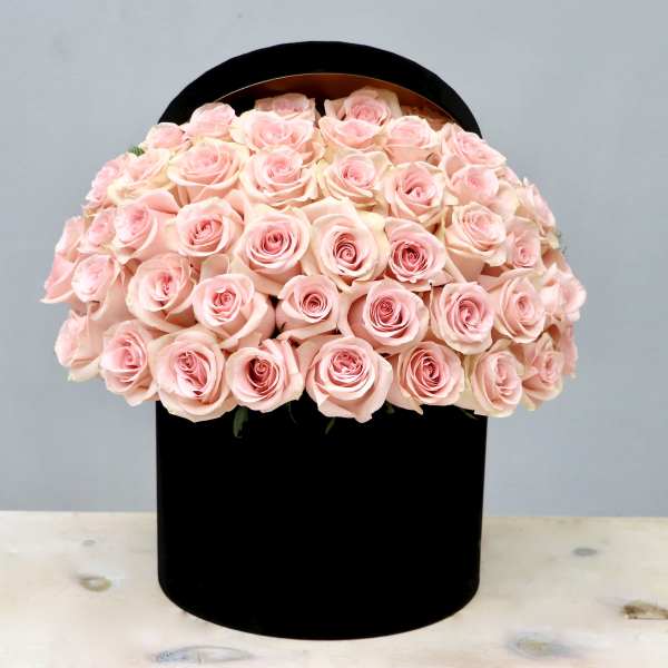 Dome of pale pink roses arranged in a round black hatbox-style container