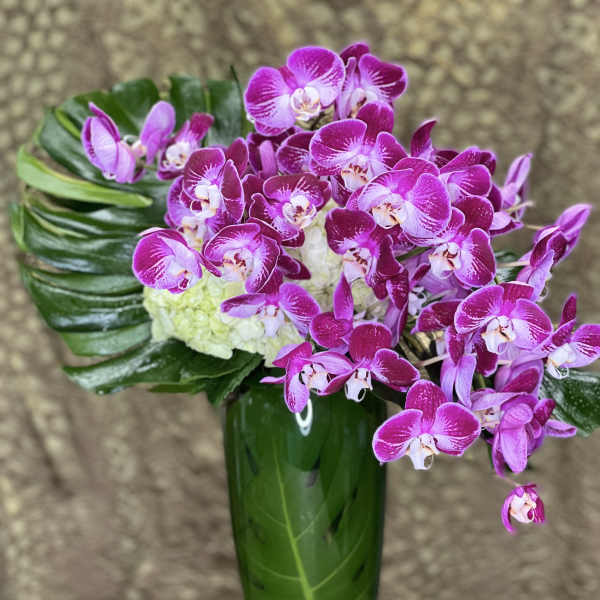 Purple orchids arranged in a tall green vase