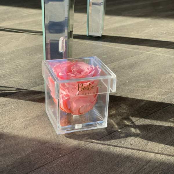 Pink rose in a clear acrylic box with a matching tall acrylic stand