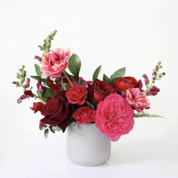 Pink and red roses arranged in a white vase