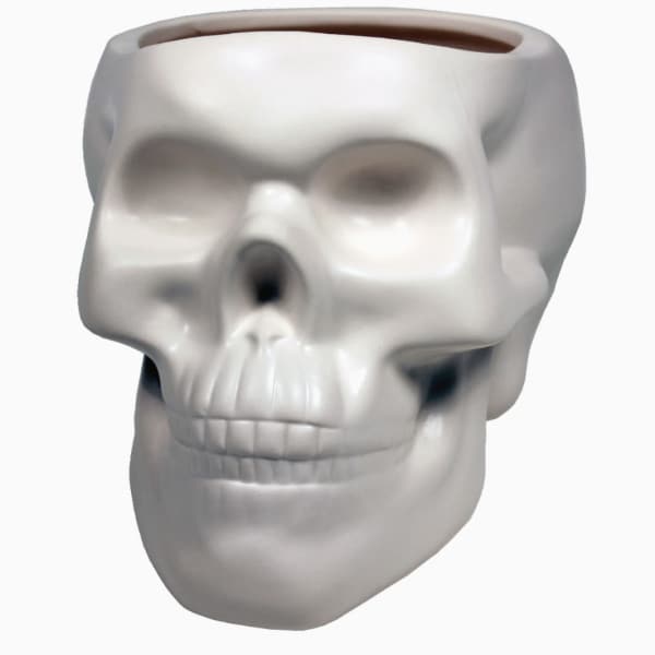 White skull-shaped ceramic planter with an open top