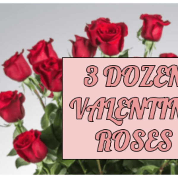 Dozen red roses with a pink Valentine sign