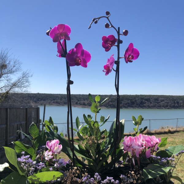 Pink orchids arranged in a rectangular planter with greenery