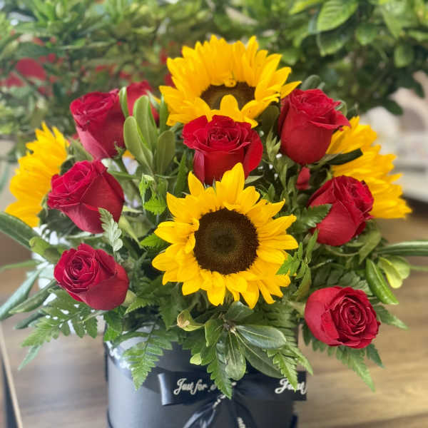 Red rose Sunflower Cylinder