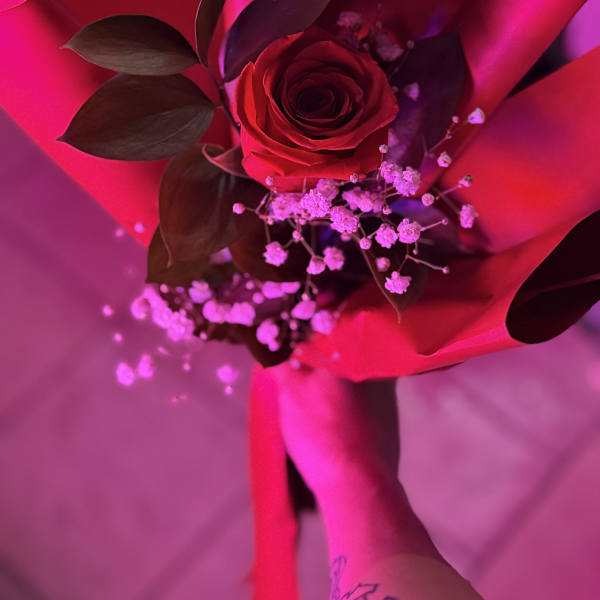 Single red rose bouquet wrapped in bright pink paper