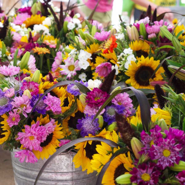 Buckets of mixed bouquets with sunflowers and pink-purple flowers