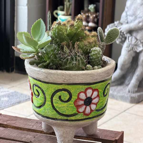 molcajete de suculentas