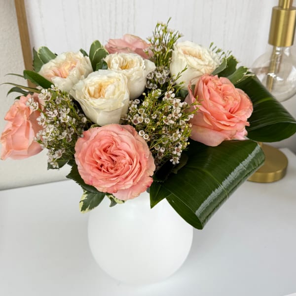 Pink and white roses arranged in a white vase