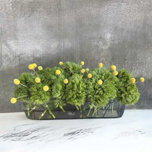Green pom-pom flowers in a rectangular glass vase with yellow button blooms