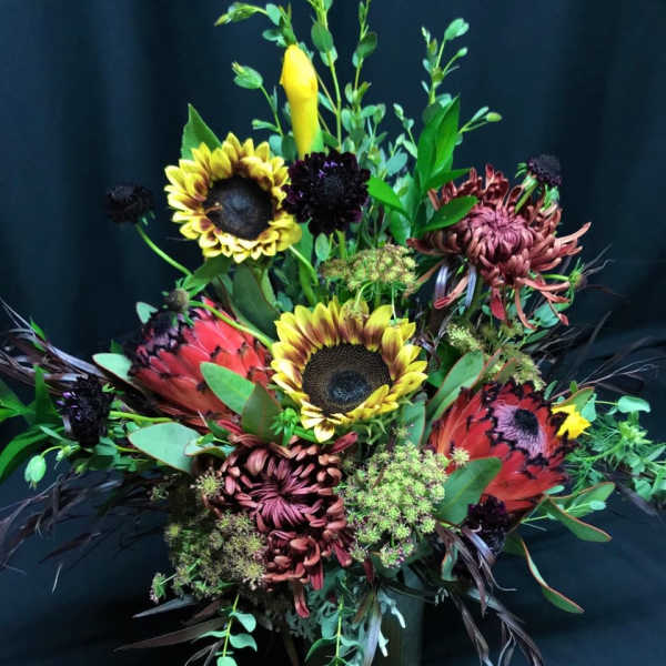 Paprika Protea Pre-Autumn Mix