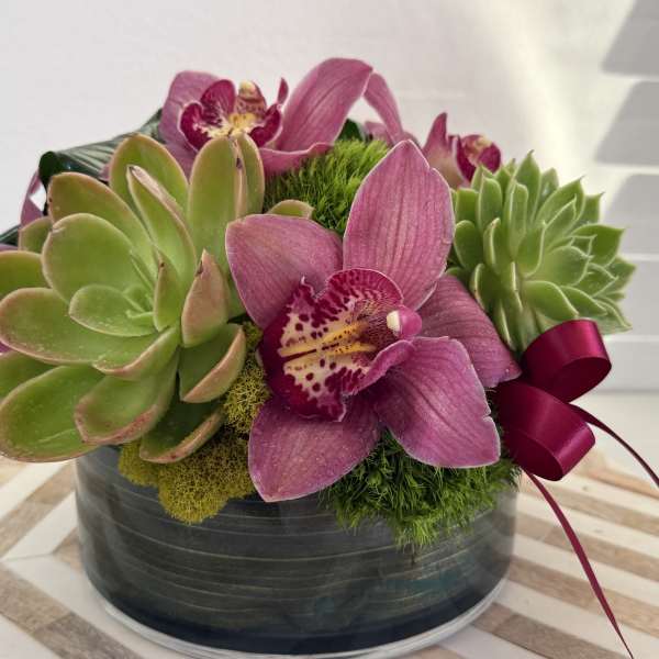 Pink orchids and green succulents arranged in a round black container with a ribbon