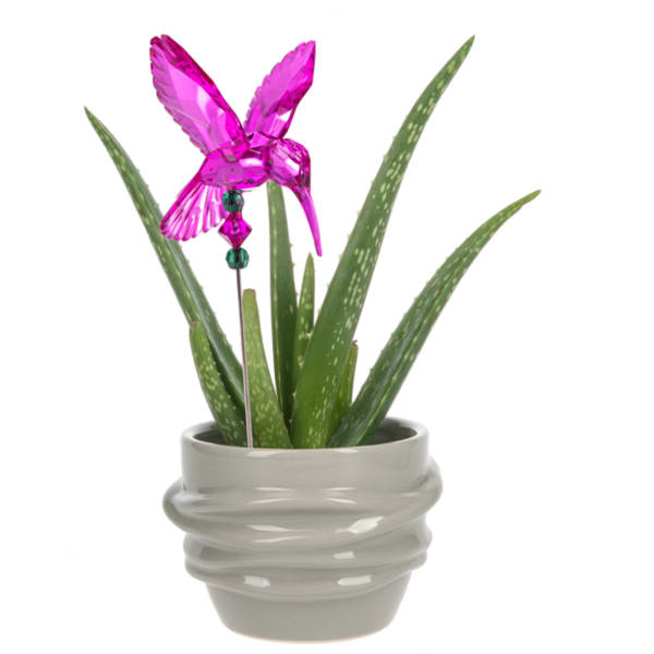 Potted aloe plant with a pink crystal butterfly topper