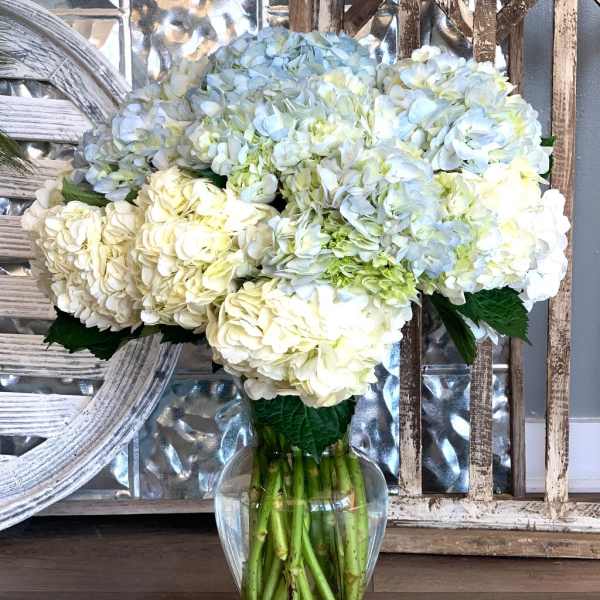White and pale blue hydrangea bouquet in a clear glass vase