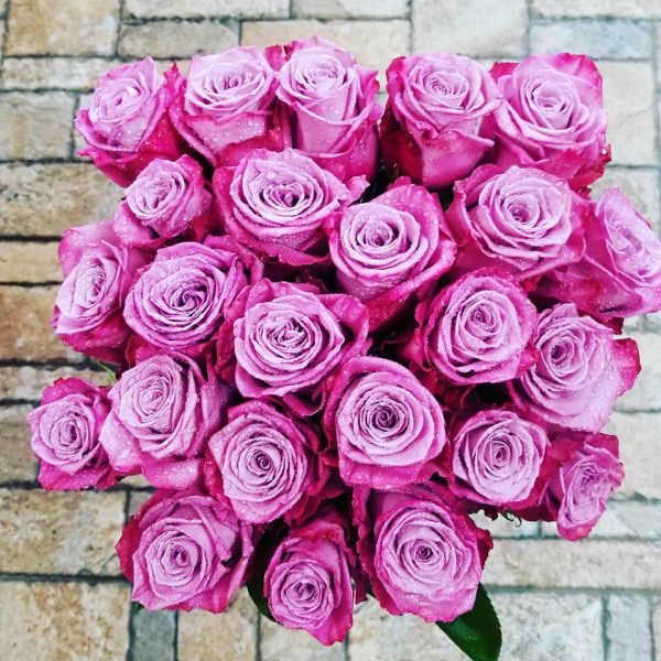 Bouquet of pink roses against a stone wall