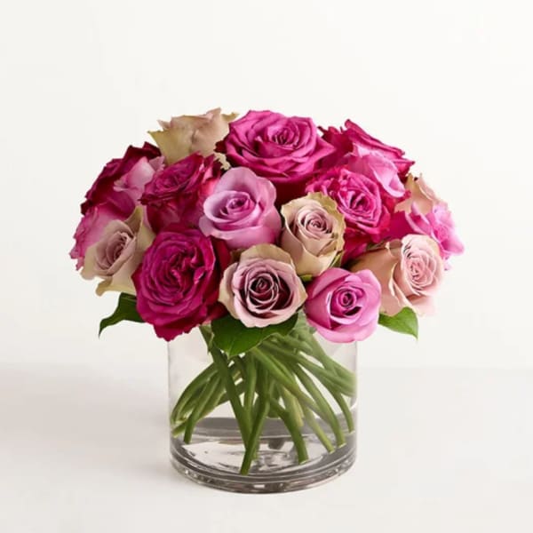 Contemporary Shades of Pink Roses